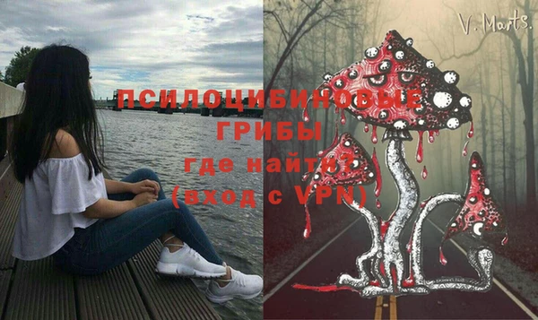 бошки Алексин
