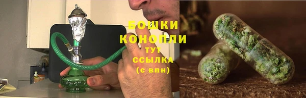 бошки Алексин