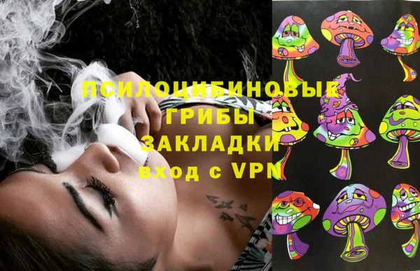 бошки Алексин