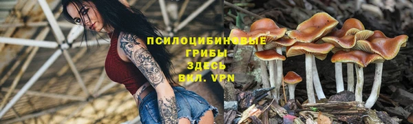 бошки Алексин